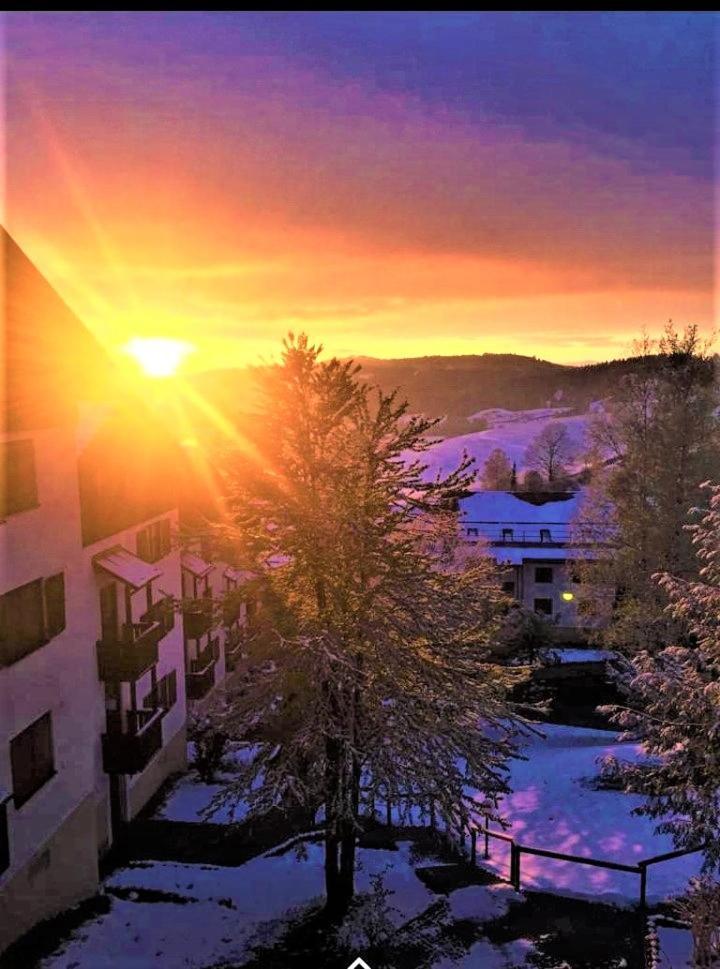 Ferienwohnung Oberallgaeu Ferienpark Mit Schwimmbad ミッセン・ヴィルハムス エクステリア 写真